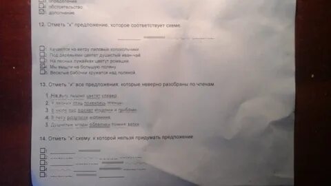 Заключительная дезинфекция проводится гигтест ответы ImmunoCap.ru