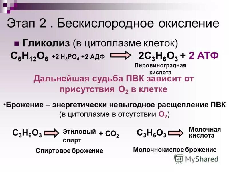 Процесс расщепления глюкозы до молочной кислоты. Формула бескислородного расщепления глюкозы. бескислородное расщепление (окисление). бложение бескислородный этап. окислительный гликолиз.