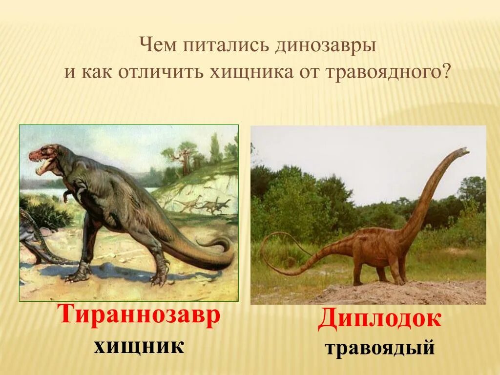 Чем питаются динозавры. Хищные динозавры. динозавры плотоядные и травоядные. хищные динозавры названия. динозавры хищники и травоядные.