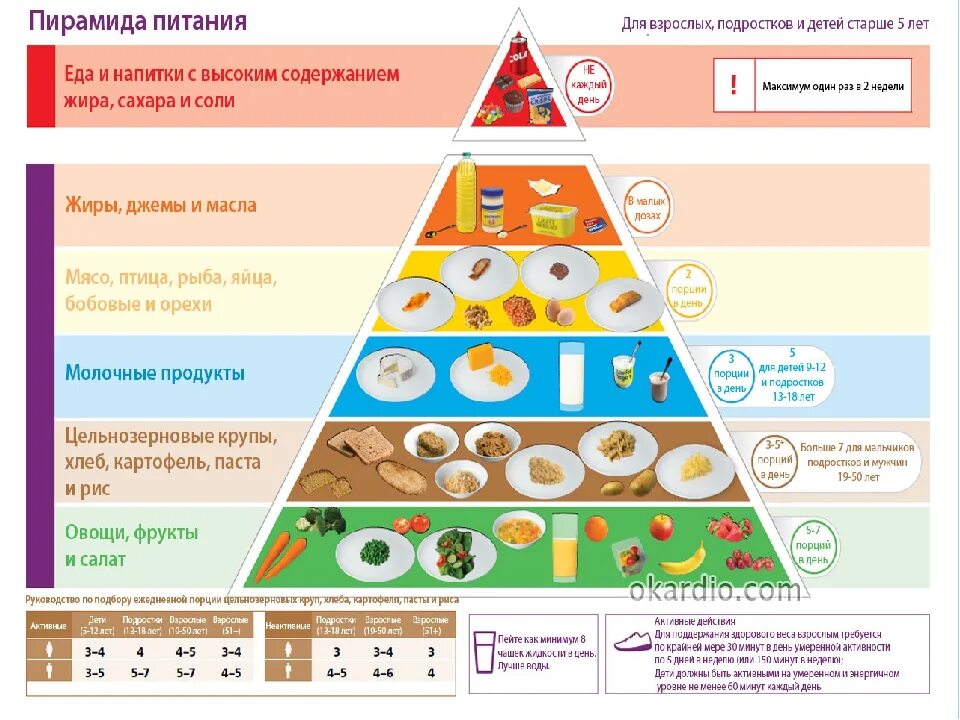 Укажите уровни пищевой пирамиды начиная с продуктов. Схема пирамиды здорового питания. Суточная пирамида питания. Пирамида здорового питания для диабетика 2. Пирамида правильного питания в процентах.