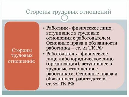 Принципы правовых трудовых отношений