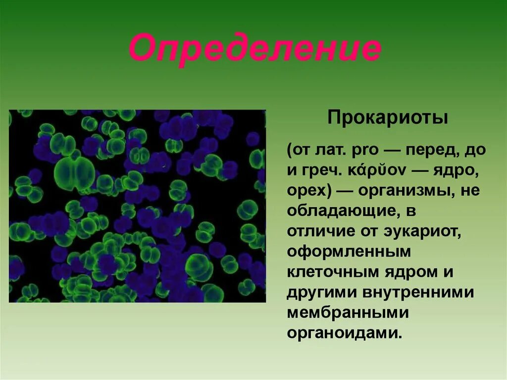 Прокариоты определение. Прокариоты это в биологии определение. Определен прокариоты. Прокариоты и эукариоты определение. Термин прокариот