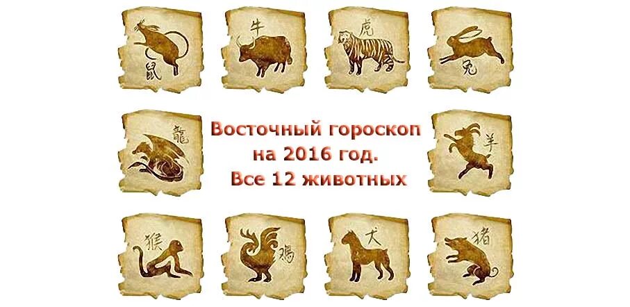 год прошедший какого животного