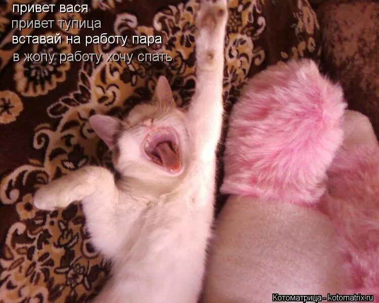 песни привет вставай