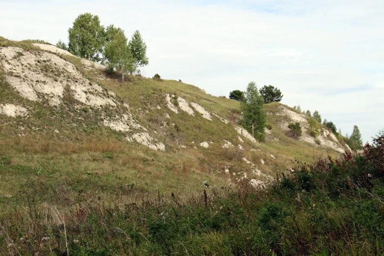 погода теплая кунгурский