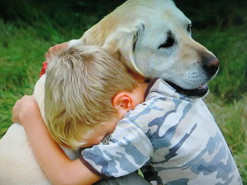 My dog best friends. Собака друг. Собака для детей. Четвероногие друзья. Мой Четвероногий друг.