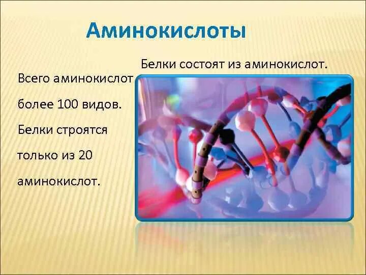 Белки состоят из аминокислот. Почему белки состоят из аминокислот. Почему важны белки. Белки важны для роста и регенерации тканей. Важнейшая составная часть живого организма