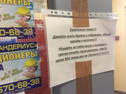 Соседи дали