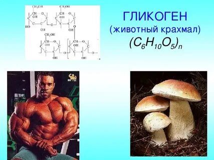 Рабочий лист углеводы биология