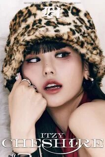 Itzy cheshire