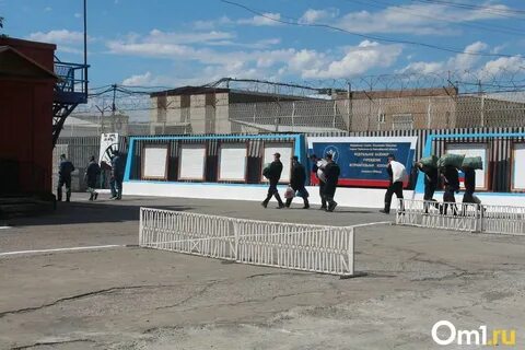 Новосибирская колония