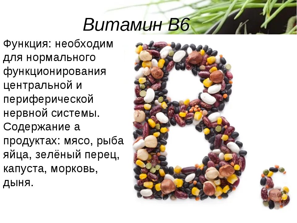 Роль витамина b6 в организме человека. Функции витамина в6 в организме человека. Витамин в6 функции. Витамин б6 функции в организме. Б 6 для организма