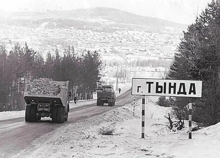 Бам тында