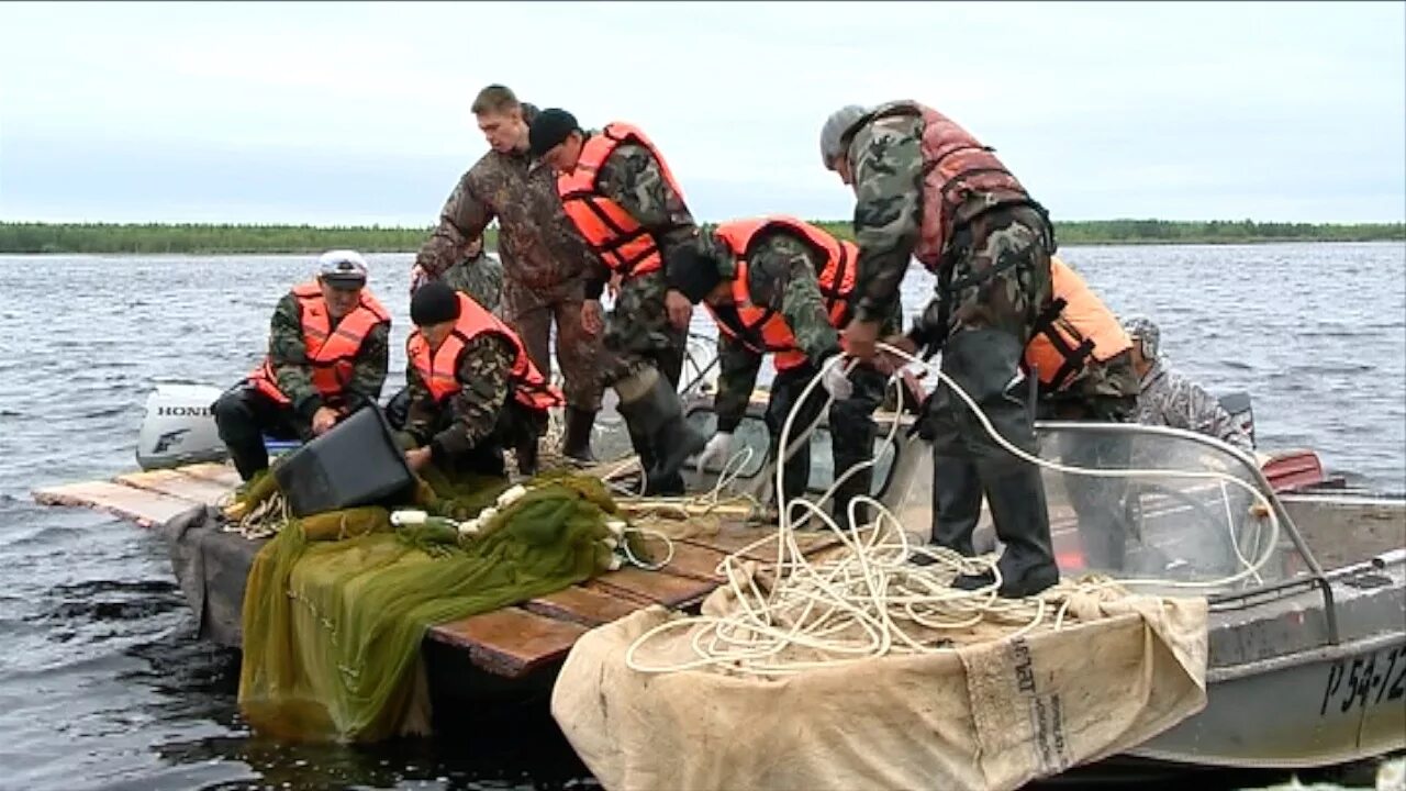 Погода в ванзетуре