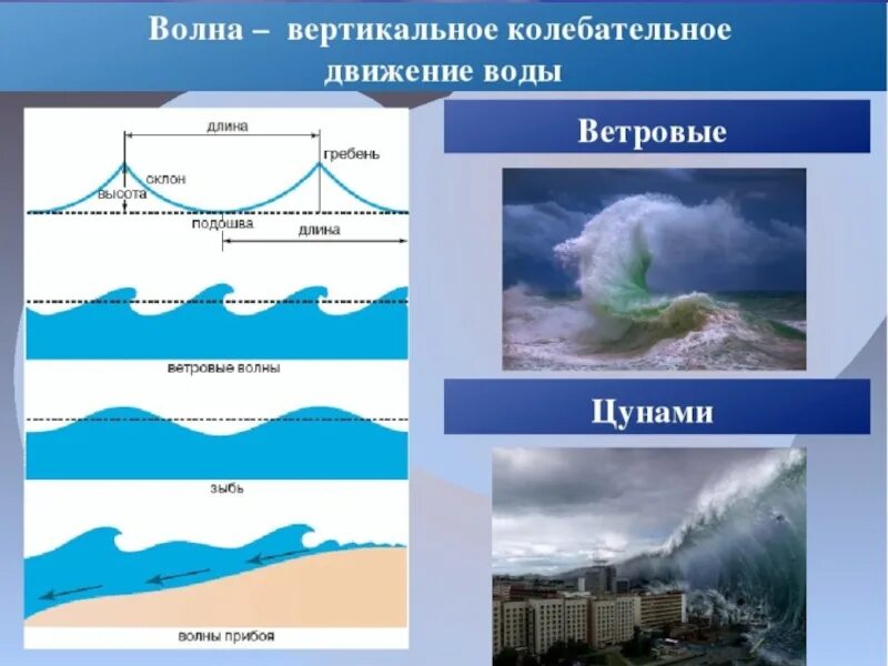Движение волн. Строение ветровых волн. Вертикальное движение воды. Типы волн в океане. Движение воды в океане волны.