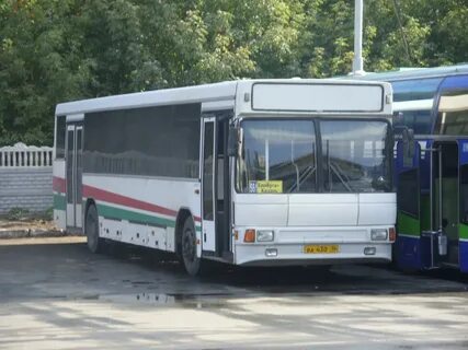 Автобус елабуга