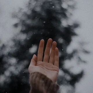 Первый снег в руках