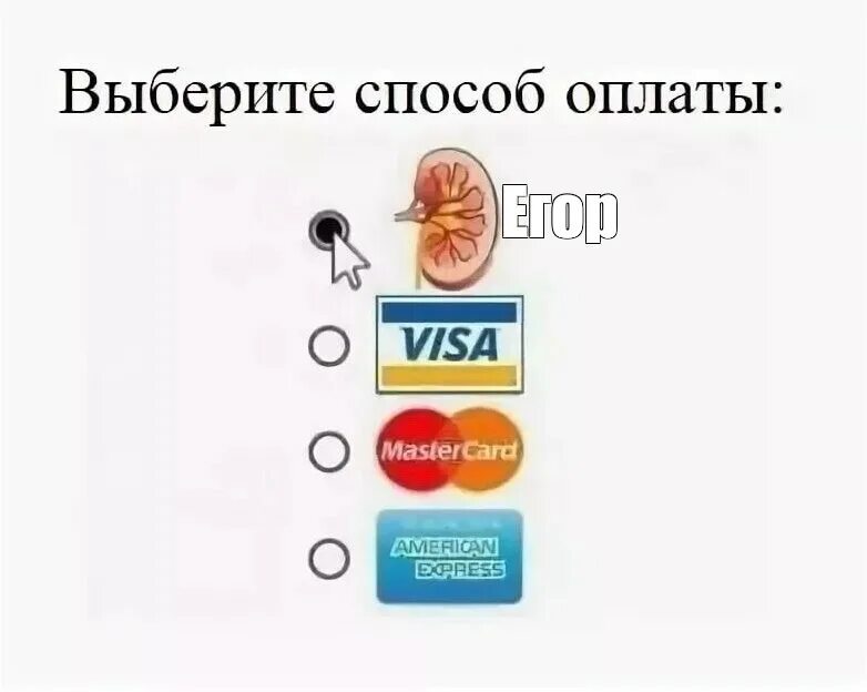 Выберите вариант оплаты. Способ оплаты почка. выбрать способ оплаты. мем способ оплаты. выберите способ оплаты мем.