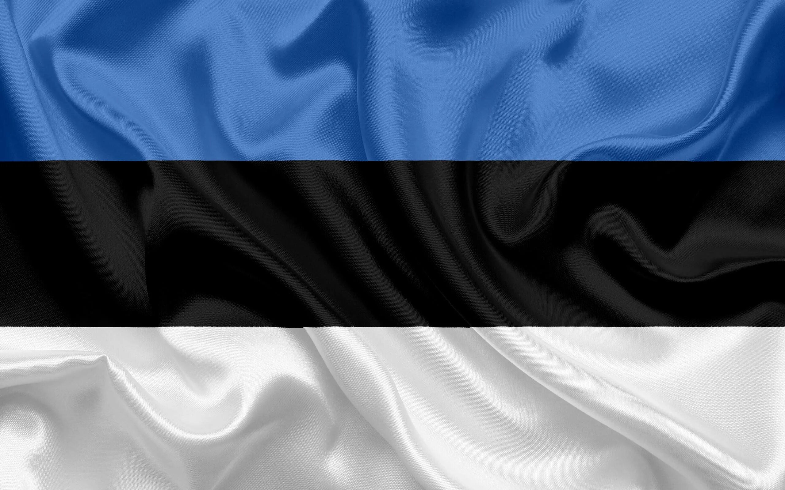 Карта языков эстонии. Estonia s. Диалекты эстонского языка. Estonia s. Estonia флаг.