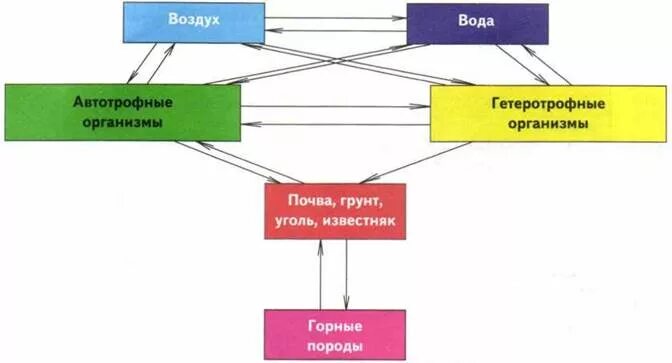 К глобальным изменениям в биосфере относят например. Взаимосвязи между основными компонентами биосферы. отображать взаимосвязь элемента в биосфере. стрелками покажите взаимосвязи между компонентами биосферы. как компоненты биосферы взаимосвязаны между собой.