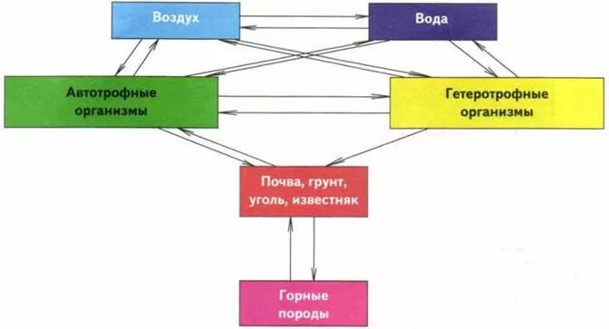 Взаимосвязи между основными компонентами биосферы. Отображать взаимосвязь элемента в биосфере. Стрелками покажите взаимосвязи между компонентами биосферы. Как компоненты биосферы взаимосвязаны между собой. К глобальным изменениям относят