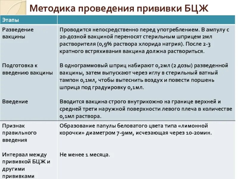 Вакцина бцж является. Введение БЦЖ вакцины алгоритм.