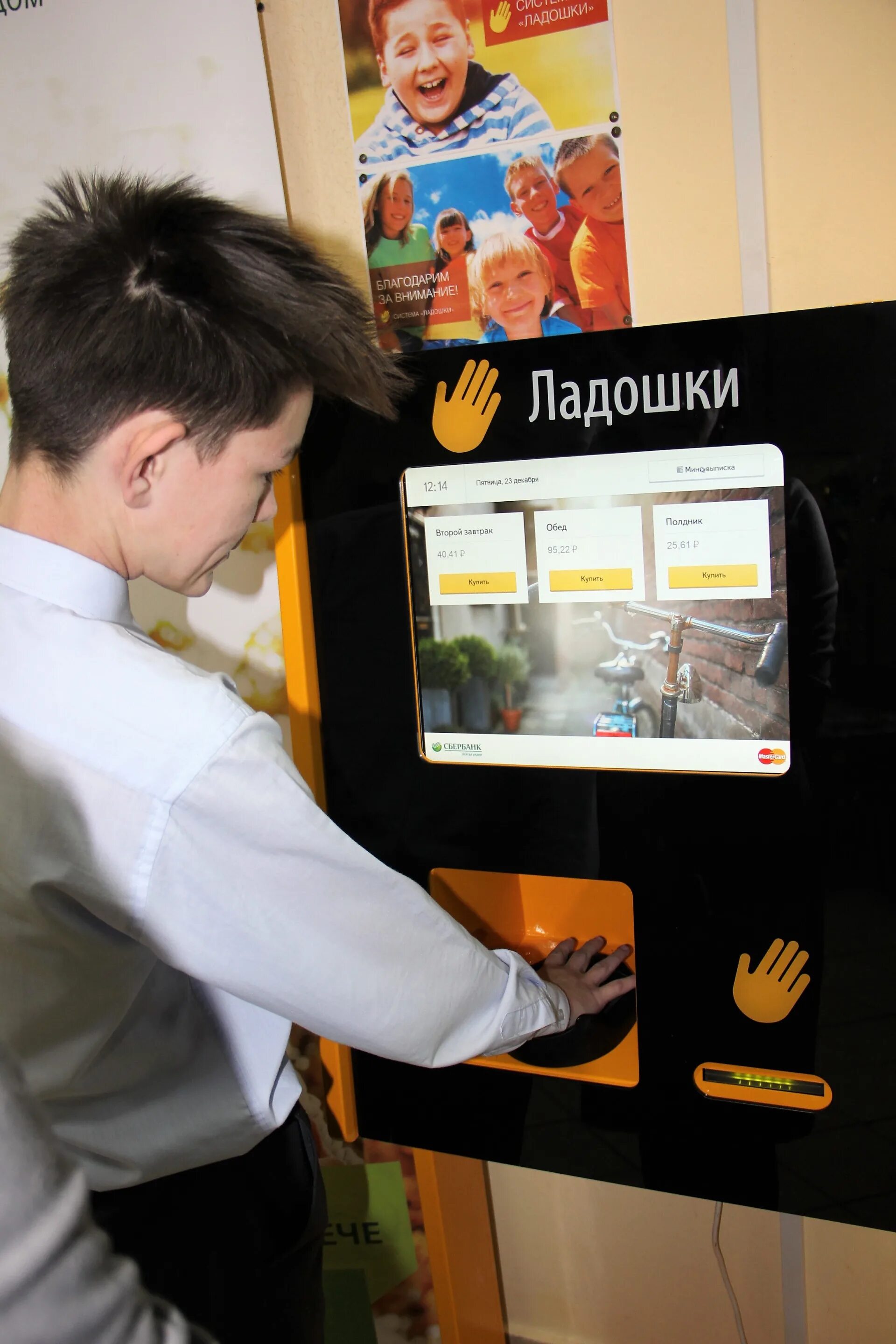 Ладошка питание