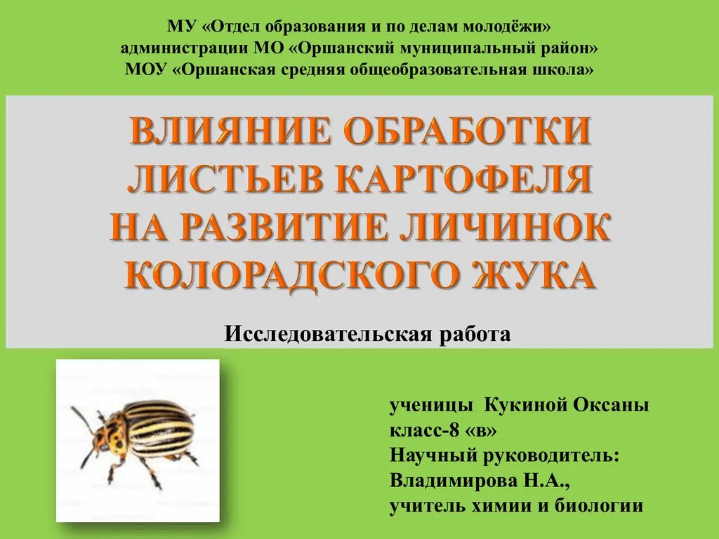 Как размножаются колорадские жуки