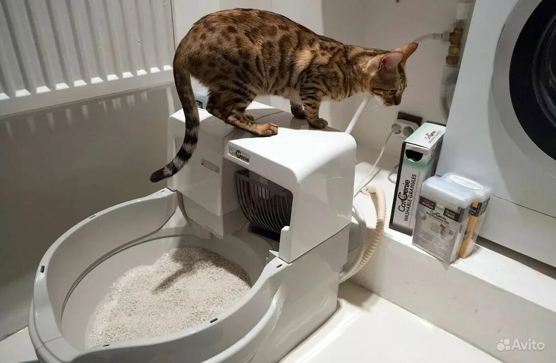 Кошачий унитаз со сливом. Автоматический туалет для животных kopfgescheit. Автоматический туалет catgenie 120. Унитаз-робот catgenie 120. Автоматический туалет для животных kopfgescheit.
