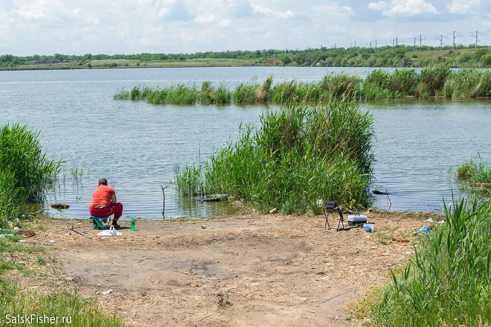 Рыбалка веселовское водохранилище ростовской области. Ловля донской селедки. Сальскфишер. Сальскфишер. Рыбалка веселовское водохранилище ростовской области.