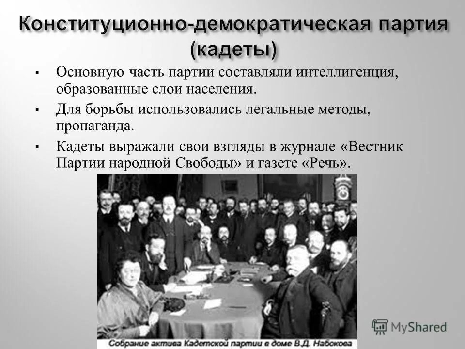 Кадеты какая партия. Конституционно-Демократическая партия кадеты 1905. Конституционно-Демократическая партия (партия народной свободы). Программа партии кадетов 1905-1907. Партия народной свободы 1905.