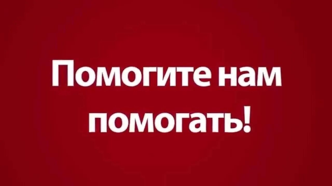 Помогите. Помогите нам помогать. Помогите картинка. Помоги нам картинка.