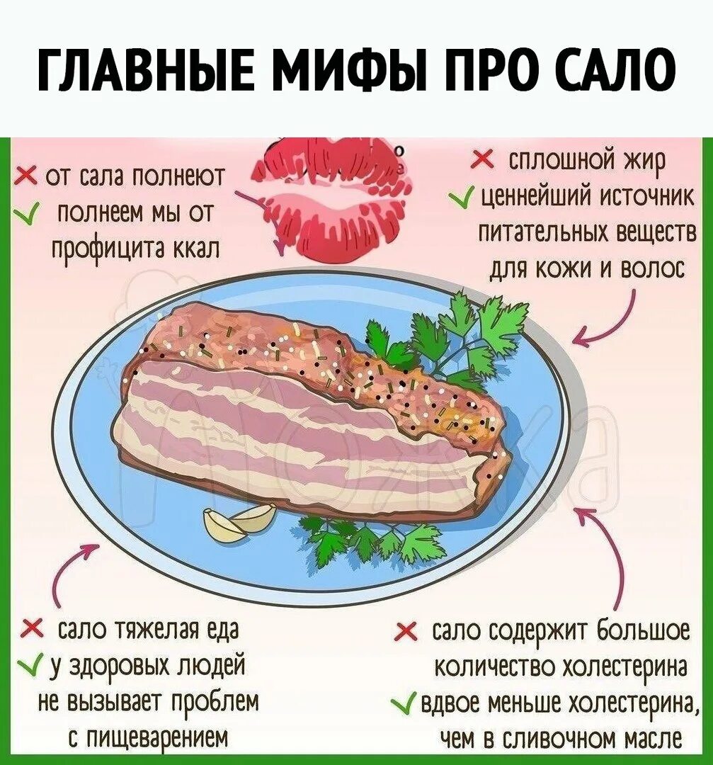 Сало вредное. Чем вредно сало. День сала. Сало полезно или вредно.