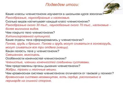 Курс зоологии