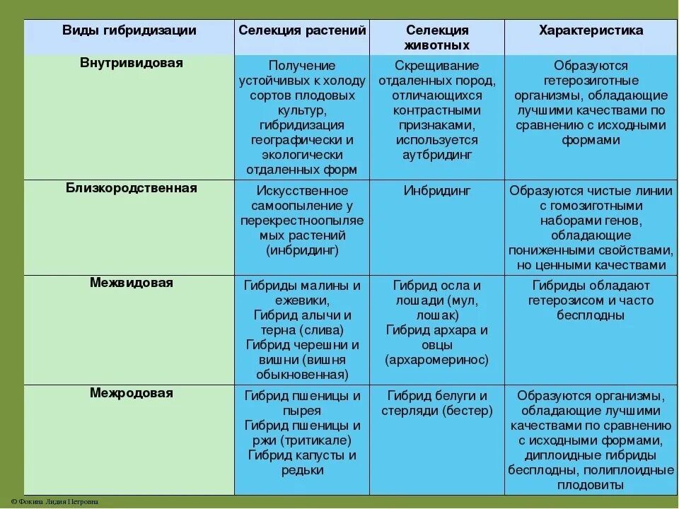 Сравнительная таблица методов селекции растений и животных. Методы селекции таблица по биологии 11 класс. Таблица методы селекции растений и животных 9 класс таблица. Селекция таблица 9 класс биология.