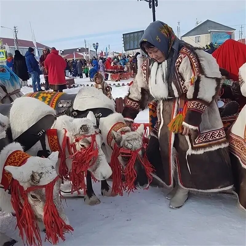 Квартал полярный яр-сале. Мухлынина яр сале. Поселок яр сале. Полярный яр-сале. Яр сале население.
