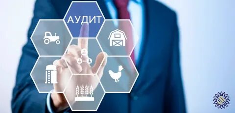 Комплексный аудит предприятия