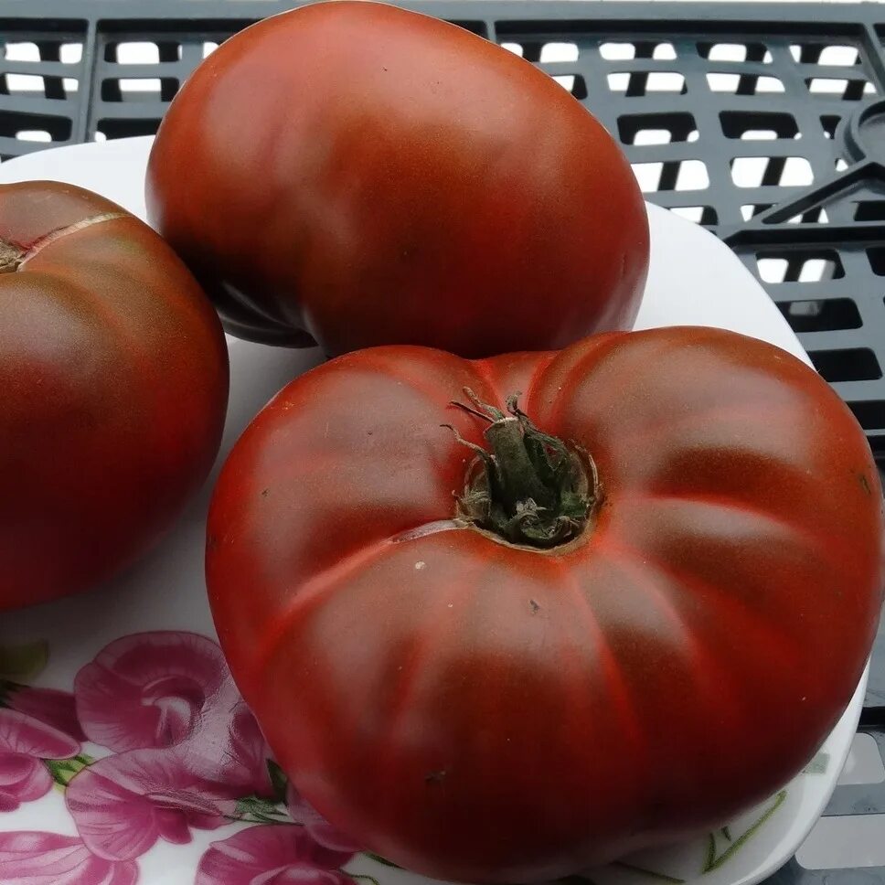 Сорт помидор шоколадное чудо. Томат "шоколадный бабушки оливера". Сорт томата шоколад. Сорт томата шоколад. Шоколадный полосатик томат.