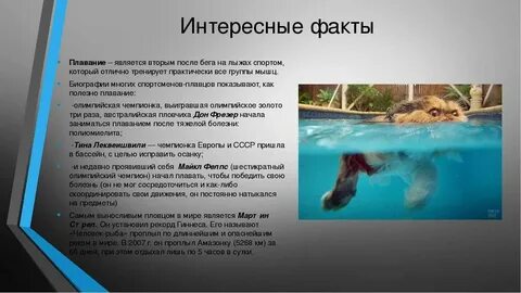 Факт бассейн