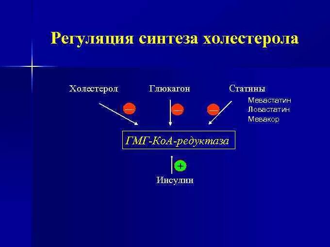 Гормональная регуляция синтеза холестерина. Регуляция биосинтеза холестерола. Схема регуляции синтеза холестерола. Регуляция биосинтеза холестерина.