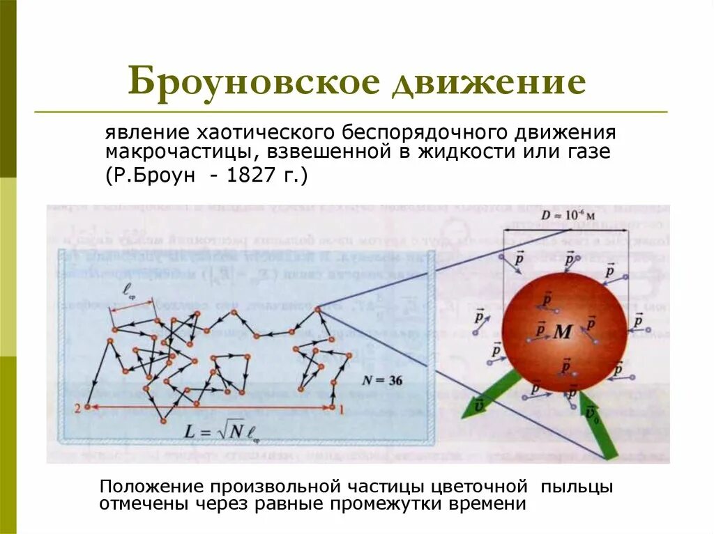 Броуновское движение примеры. Статистическая теория броуновского движения. механизм движения броуновской частицы. броуновское движение. броуновское движение физика.