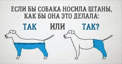 Собаки не носят штанов отзывы