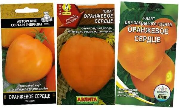 Томат лискин нос характеристика и описание сорта. Томат оранжевое сердце аэлита. томат бычье сердце оранжевое аэлита. томат сорт бычье сердце оранжевое. русский огород томат бычье сердце оранжевое.
