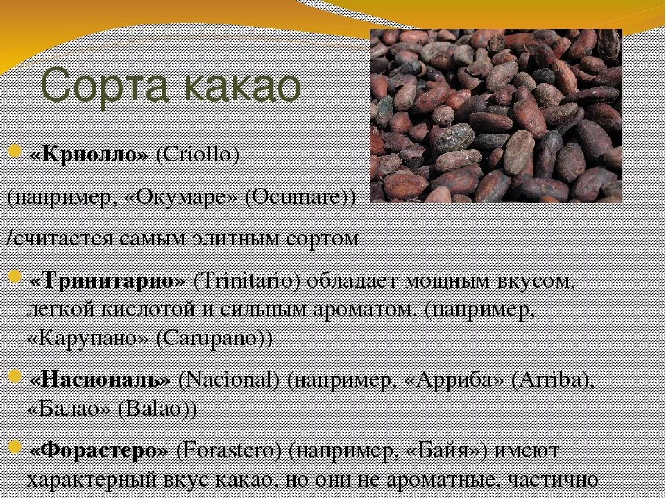 Что входит в состав кофе. Сорта какао. Сорта какао бобов. Какао полезные вещества. Характеристика какао бобов.