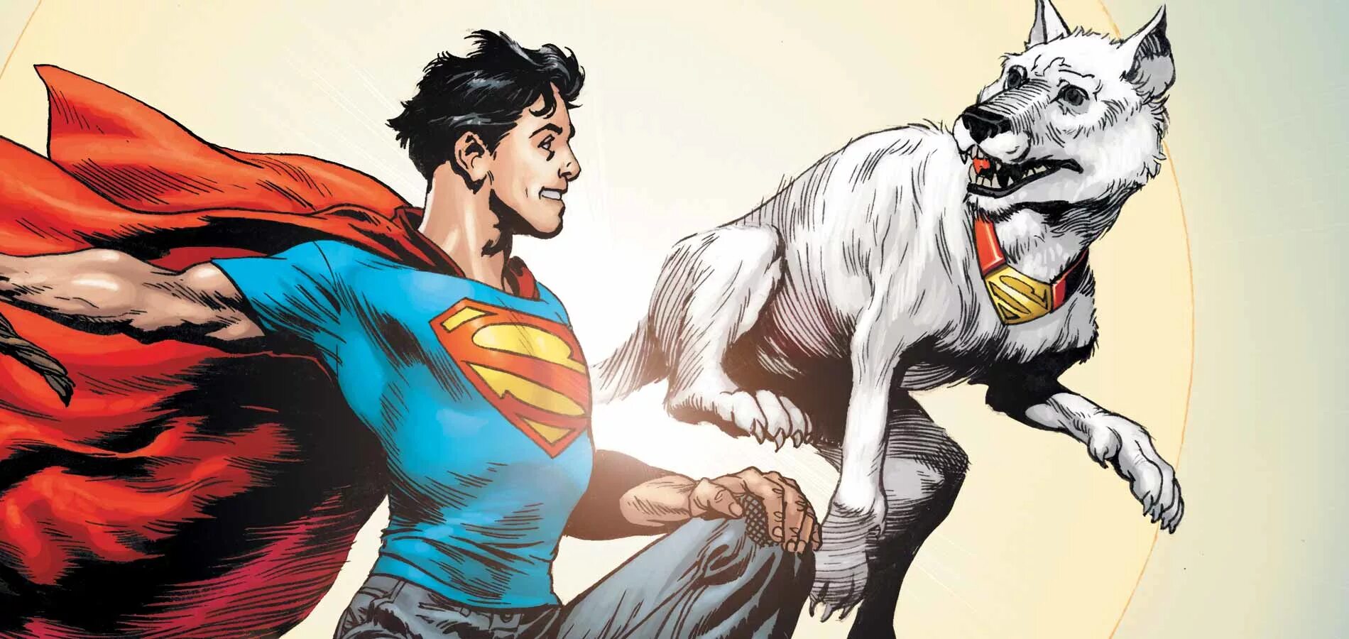Супер крипто. Крипто dc comics. крипто пес супермена. krypto (sarjakuvahahmo). супермен и крипто.