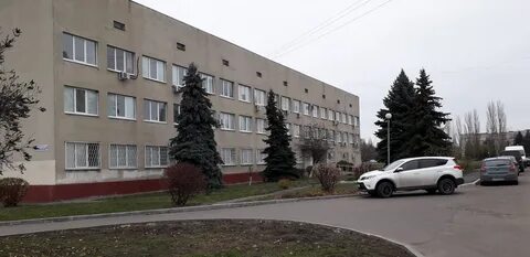 Курчатов льгов