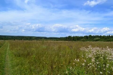 2000 соток