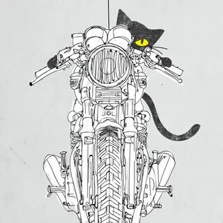 Кот на мотоцикле