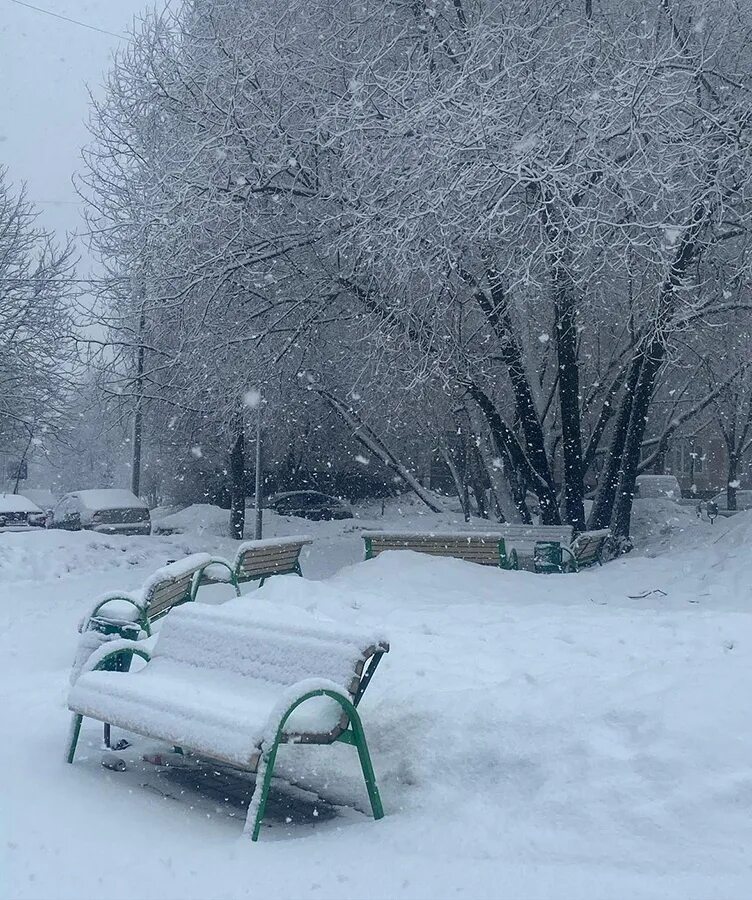 Снегопад. Снегопад в Москве в парке. Снег в парке Москва. Снег в апреле в Москве. Включи видео снежная