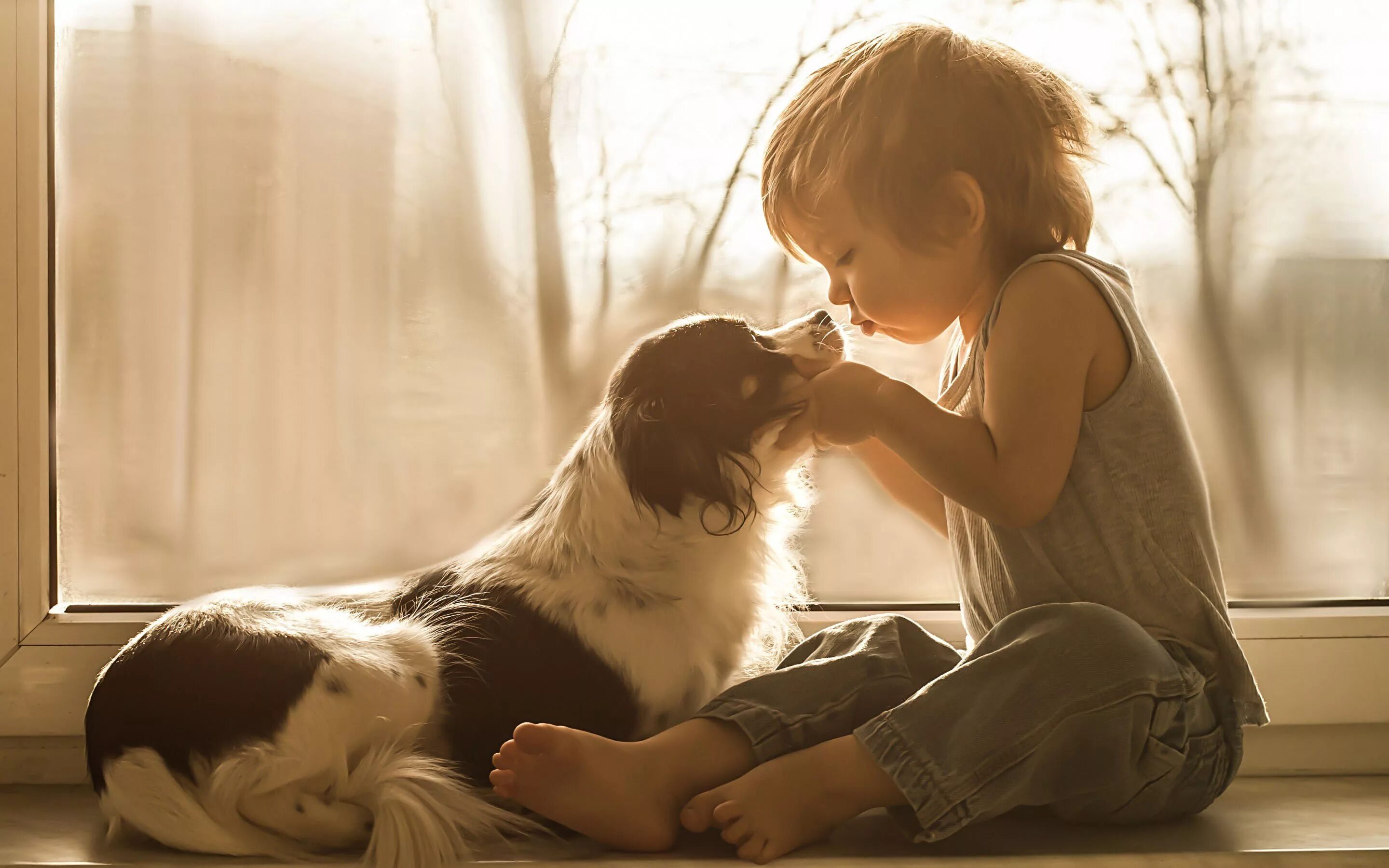 Миленький твой. Мальчик обнимает собаку. Любовь детей и животных. Собака для детей. Для детей. Животные.